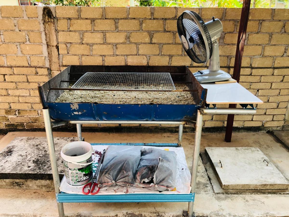 Homestay Tok Abah Dalam Rhu 파시르푸테 외부 사진